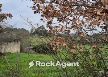 Terreno - Rustico Carraro dei Girardi, Gioia del Colle - foto 17