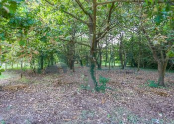 Terreno - Villa via Trentola, Forlì - photo 25