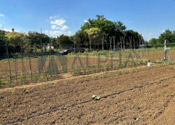 Terreno - Agricultural land via Malguaia, Forlì - photo 7