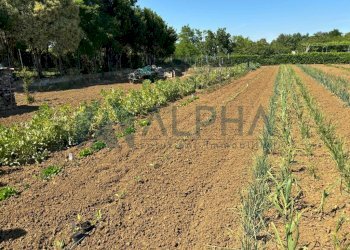 Terreno - Agricultural land via Malguaia, Forlì - photo 11
