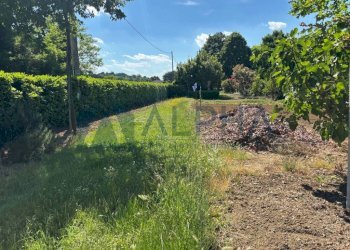 Terreno - Agricultural land via Malguaia, Forlì - photo 14