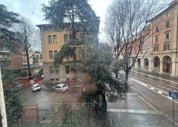 Office Via Guglielmo Marconi, Bologna (neighborhood Marconi) - photo 8
