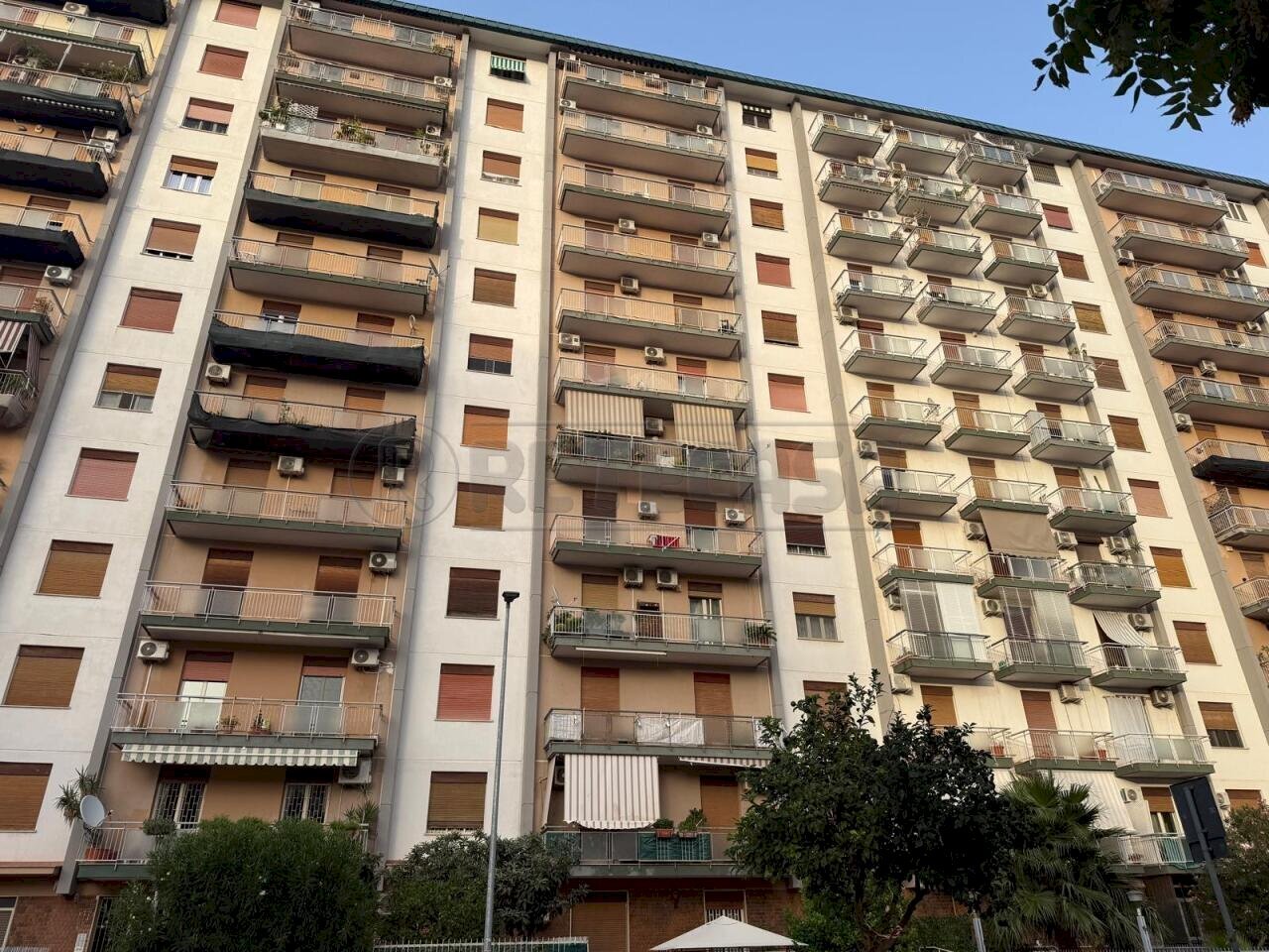 WhatsApp Image 2026-08-27 at 18.18.530 - Appartamento Via Filippo di Giovanni 95, Palermo - foto 1
