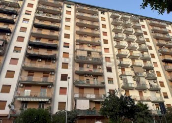 WhatsApp Image 2026-08-27 at 18.18.530 - Appartamento Via Filippo di Giovanni 95, Palermo - foto 1