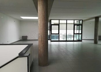 Primo piano - Non Alimentare Brendola - foto 7