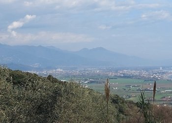 6030eb93-6714-40e6-a65d-067f7c9d6e4c.JPG - Rustico Via Caffaggio 10, Ameglia - foto 3