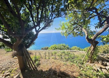 Foto terreno - Terreno agricolo Piazza Angeli Custodi 3, Ventimiglia - foto 1
