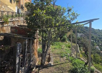 Foto terreno - Terreno agricolo Piazza Angeli Custodi 3, Ventimiglia - foto 10