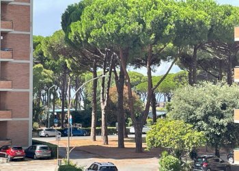 PHOTO-2026-08-26-12-26-16 (7) - Two-room apartment Follonica - photo 8
