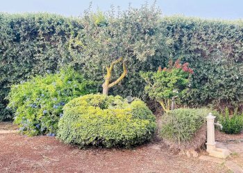 Villa Marsala - foto 12