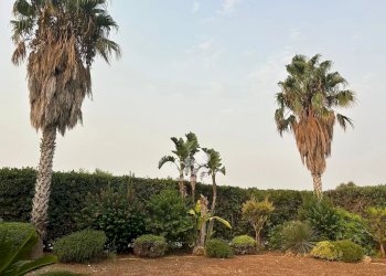 Villa Marsala - foto 31