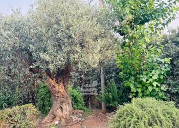 Villa Marsala - foto 32