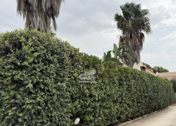 Villa Marsala - foto 64