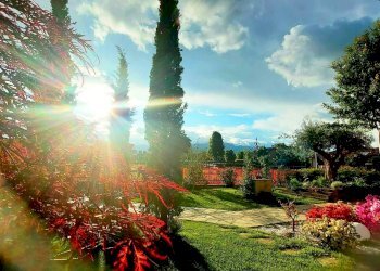 Villa Barbania - foto 6