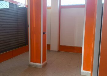 Office Borgaro Torinese - photo 6