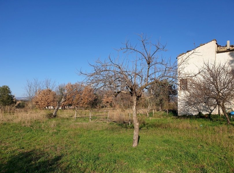 Rustico Sessa Aurunca - foto 3