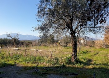 Rustico Sessa Aurunca - foto 2