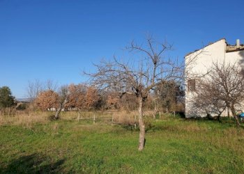 Rustico Sessa Aurunca - foto 3