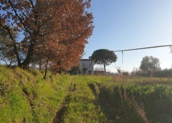 Rustico Sessa Aurunca - foto 4