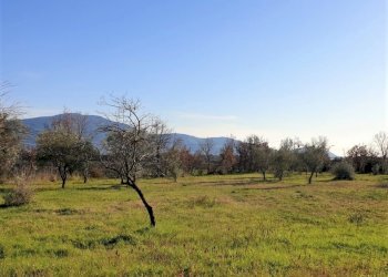 Rustico Sessa Aurunca - foto 5