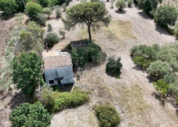 Rustico Sessa Aurunca - foto 10