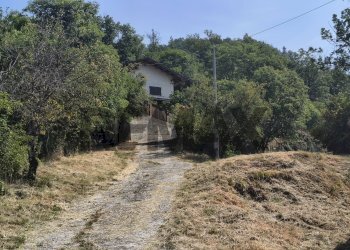 Giardino - Casa indipendente Località Gorrette
 
2, Millesimo - foto 3