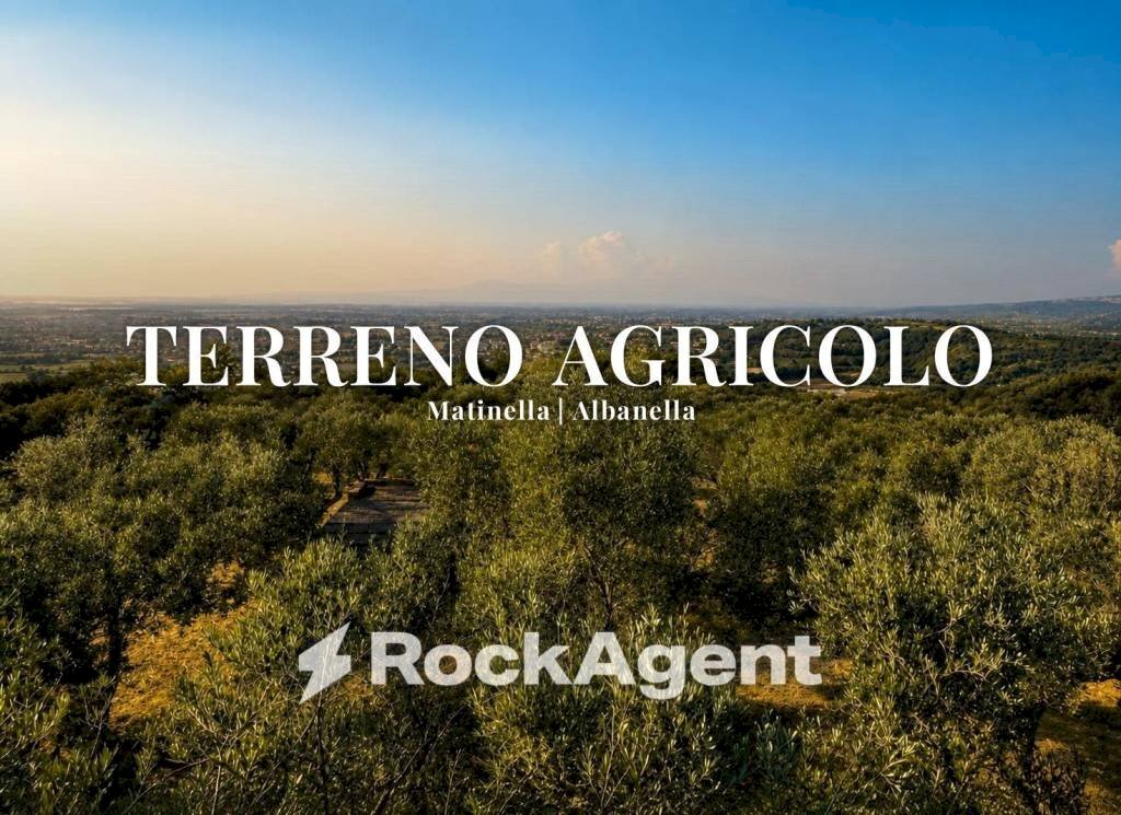 Vista - Terreno agricolo via Difesa Monti, Albanella - foto 1