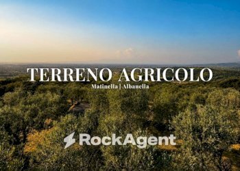 Vista - Terreno agricolo via Difesa Monti, Albanella - foto 1