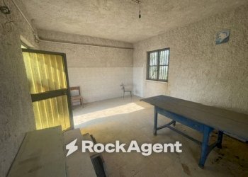 Interno non residenziale - Terreno agricolo via Difesa Monti, Albanella - foto 10