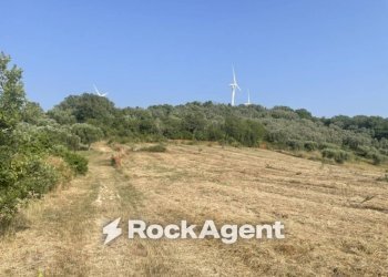 Terreno - Terreno agricolo via Difesa Monti, Albanella - foto 17