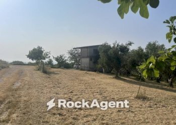 Terreno - Terreno agricolo via Difesa Monti, Albanella - foto 18