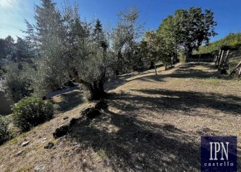 Terreno - Villa via San Martino, Lisciano Niccone - foto 8