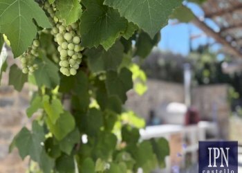 Altro - Villa via San Martino, Lisciano Niccone - foto 37