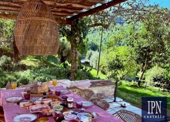 Giardino - Villa via San Martino, Lisciano Niccone - foto 38