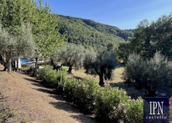 Terreno - Villa via San Martino, Lisciano Niccone - foto 42