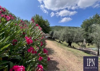 Terreno - Villa via San Martino, Lisciano Niccone - foto 43