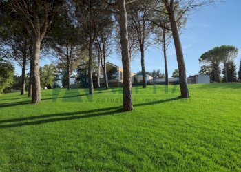 Terreno - Villa via Tomba, Forlì - foto 46