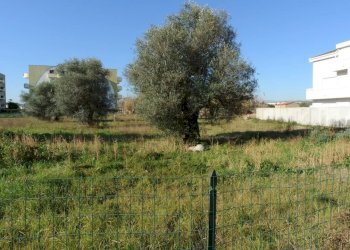 Villa Via Vistola, Montesilvano - photo 14