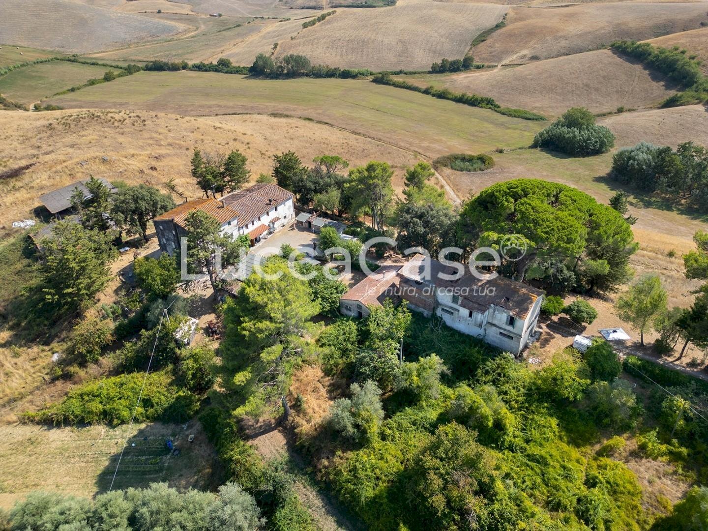 Farm Terricciola - photo 1