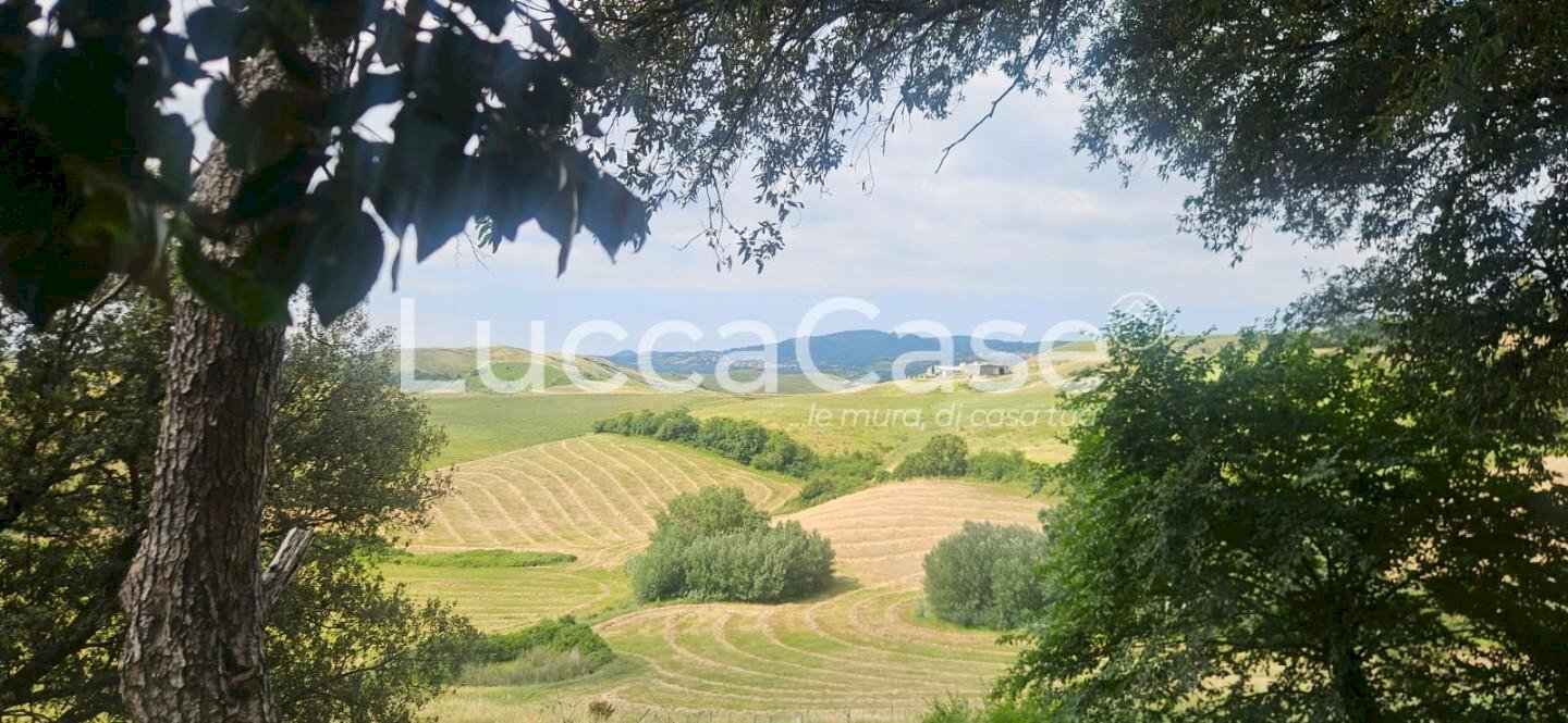 Farm Terricciola - photo 2