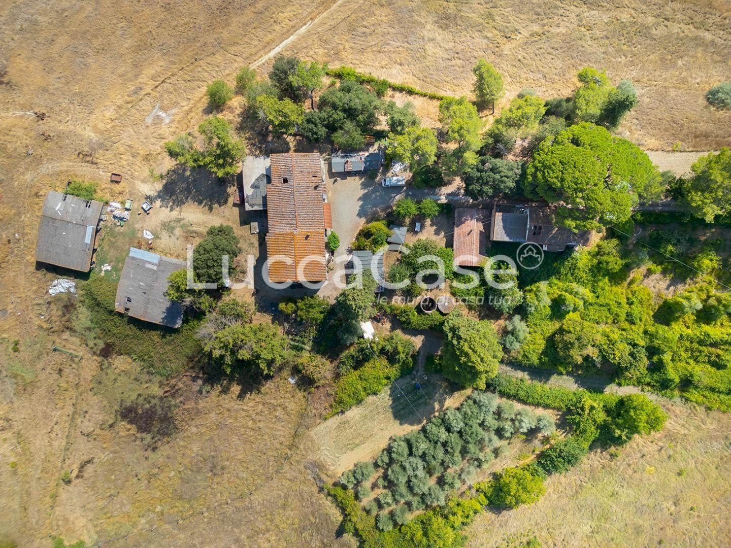 Farm Terricciola - photo 3