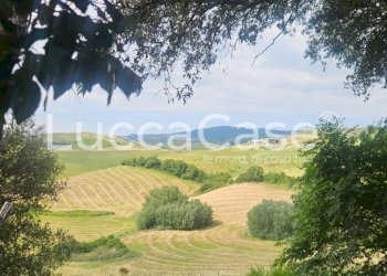 Farm Terricciola - photo 2
