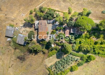 Farm Terricciola - photo 3