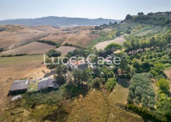 Farm Terricciola - photo 4