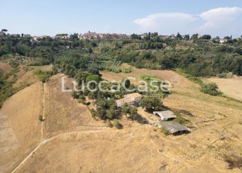 Farm Terricciola - photo 5