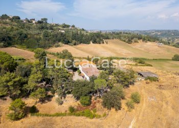 Farm Terricciola - photo 7