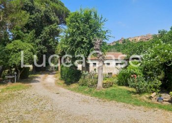 Farm Terricciola - photo 11