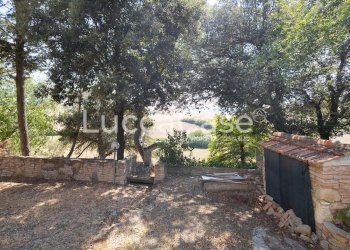 Farm Terricciola - photo 12