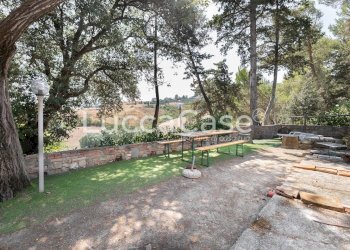 Farm Terricciola - photo 13