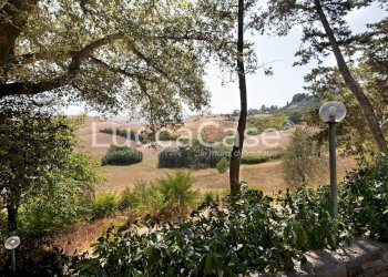 Farm Terricciola - photo 14